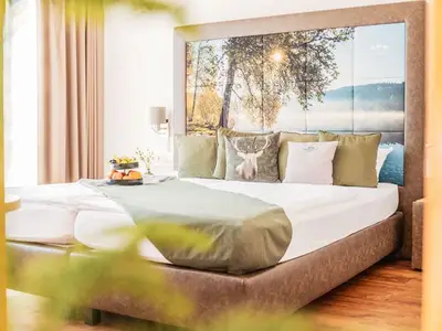 Doppelzimmer für 2 Personen (24 m²) in Gengenbach 4/10