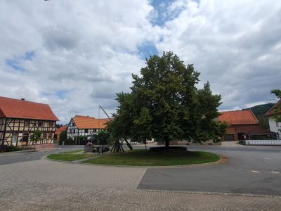 Dorfplatz mit Linde