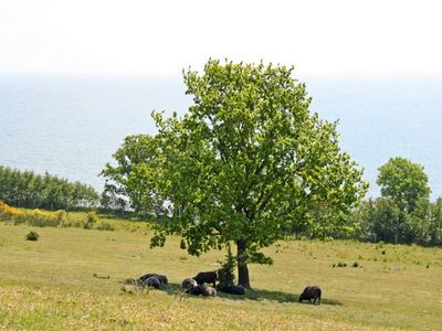 Doppelzimmer für 2 Personen (30 m²) in Göhren (Rügen) 9/10