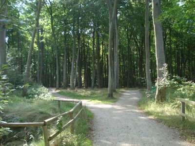 Doppelzimmer für 2 Personen (25 m²) in Graal-Müritz (Ostseeheilbad) 6/10