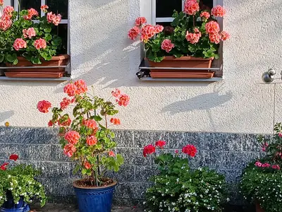 Pension Tauscher