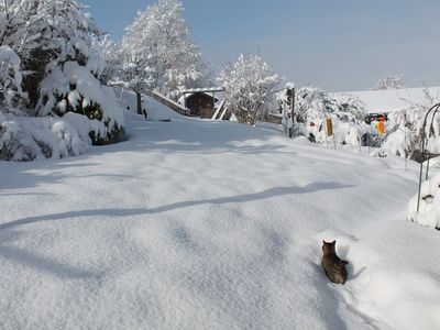 Garten im Schnee