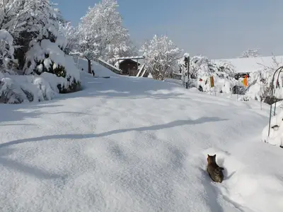 Garten im Schnee