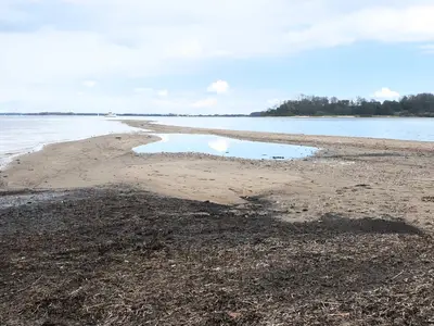 Doppelzimmer für 3 Personen (26 m²) in Gråsten 10/10