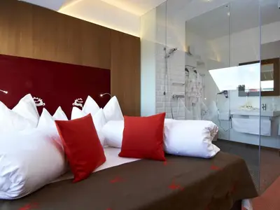 STANDARD Zimmer Friedl