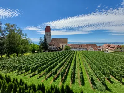 Blick vom Haus
