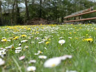 Doppelzimmer für 2 Personen (20 m²) in Haselünne 10/10