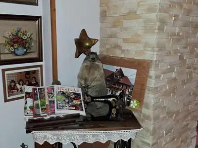 Doppelzimmer für 3 Personen (20 m²) in Haus (Steiermark) 8/10