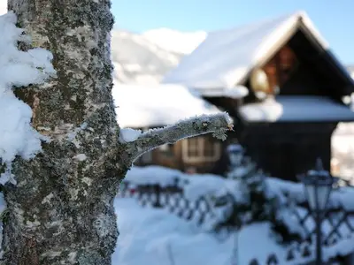 Doppelzimmer für 3 Personen (20 m²) in Haus (Steiermark) 2/10