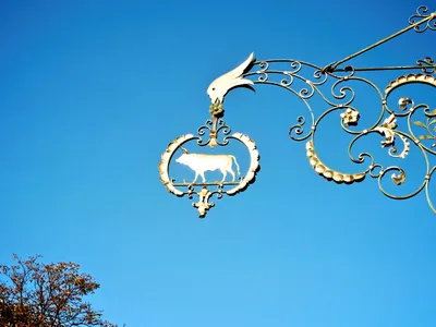 Ox
