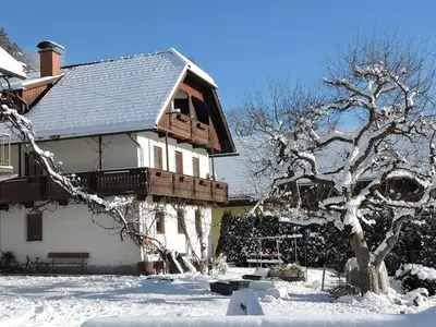 Doppelzimmer für 3 Personen (35 m²) in Hermagor-Pressegger See 1/10