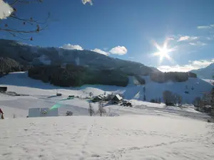 Doppelzimmer für 3 Personen (20 m²) in Hollenstein an der Ybbs