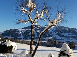 23369110-Doppelzimmer-2-Hopfgarten im Brixental-300x225-3