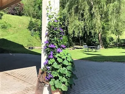 Doppelzimmer für 2 Personen in Hornberg 6/10