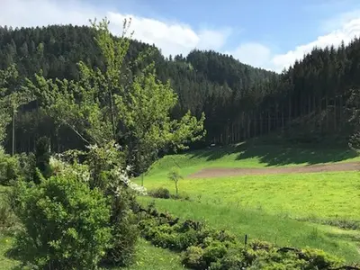 Doppelzimmer für 2 Personen in Hornberg 9/10