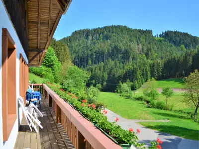 Doppelzimmer für 2 Personen in Hornberg 9/10