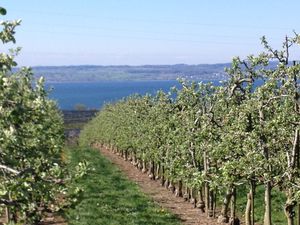 18583810-Doppelzimmer-2-Immenstaad am Bodensee-300x225-5