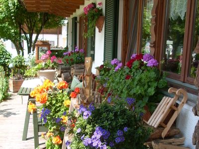 Terrasse