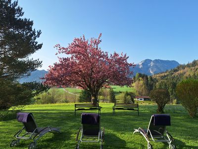 Entspannung im Garten