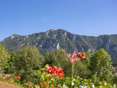 Blick auf den Gamskogel