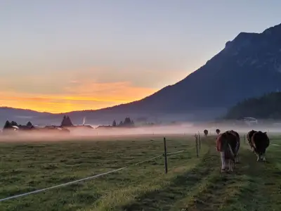 Sonnenaufgang