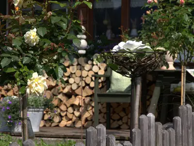 Impressionen
