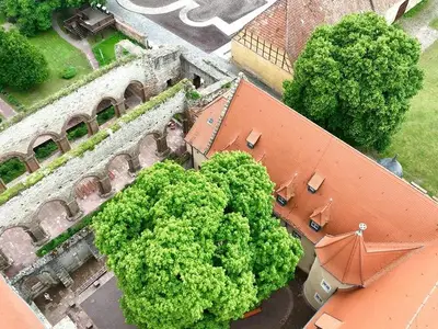 Doppelzimmer für 2 Personen (16 m²) in Kaiserpfalz 2/10