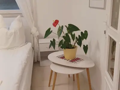 Schlafzimmer 2 mit zwei getrennten Betten