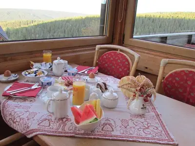 Doppelzimmer für 4 Personen (20 m²) in Klingenthal/Sachsen 8/10