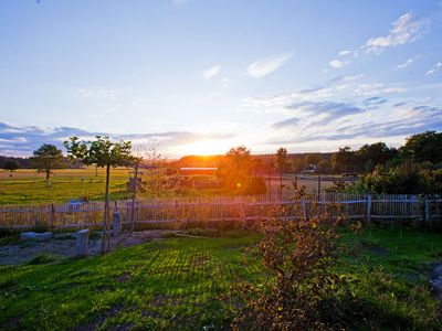 Ausblick auf die Streuobstwiese