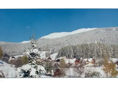 Doppelzimmer für 3 Personen (25 m²) in Krakaudorf 4/10