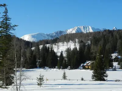 Doppelzimmer für 3 Personen (25 m²) in Krakaudorf 9/10