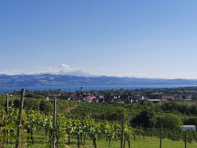 Doppelzimmer für 2 Personen in Kressbronn 9/10