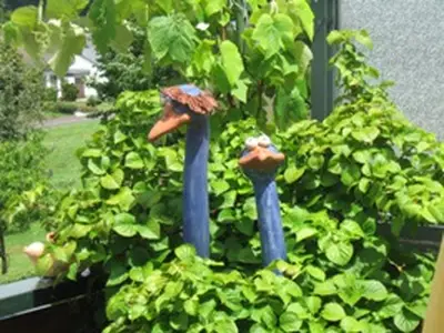 Doppelzimmer für 3 Personen in Kreuzwertheim 2/4