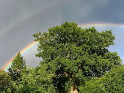 Doppelzimmer für 2 Personen (23 m²) in Lärz 6/10