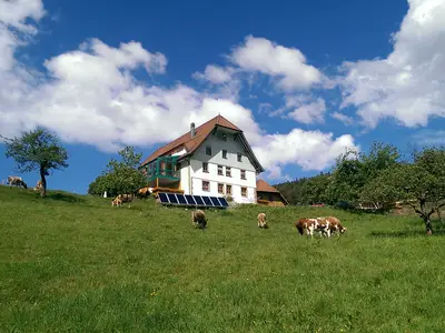 Doppelzimmer für 3 Personen in Lauterbach (Schwarzwald) 1/10