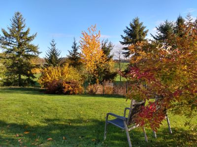 Garten im Herbst