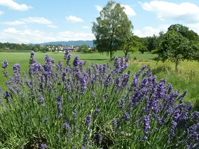 Doppelzimmer für 2 Personen in Lindau 1/10