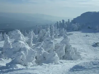 Winterzauber