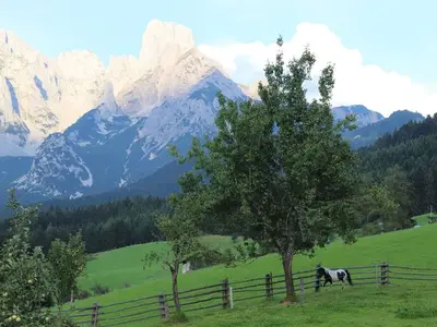 Doppelzimmer für 3 Personen (20 m²) in Annaberg-Lungötz 9/10