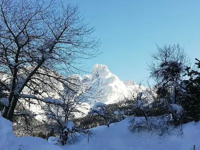 Doppelzimmer für 3 Personen (20 m²) in Annaberg-Lungötz 1/10