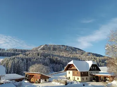 Doppelzimmer für 3 Personen in Mariahof 2/10