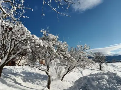 Doppelzimmer für 3 Personen in Mariahof 4/10