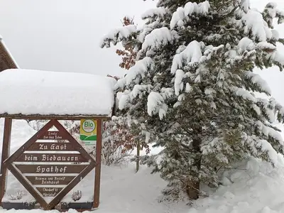 Doppelzimmer für 3 Personen in Mariahof 8/10