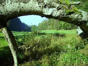 Doppelzimmer für 2 Personen (25 m²) in Marktleugast