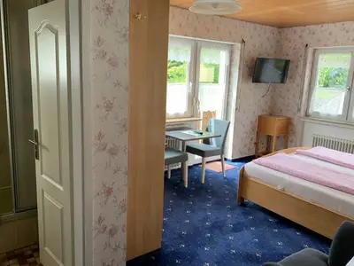 Doppelzimmer für 2 Personen (17 m²) in Meersburg 9/10