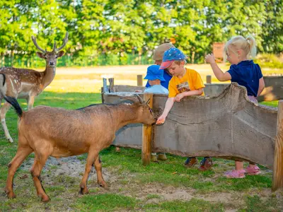 Doppelzimmer für 2 Personen (12 m²) in Meppen 9/10
