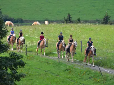 Ausritt mit den Haflingern