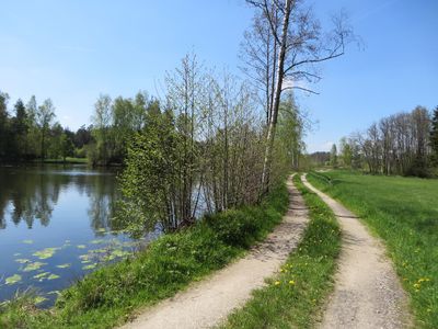 Teichlandschaft