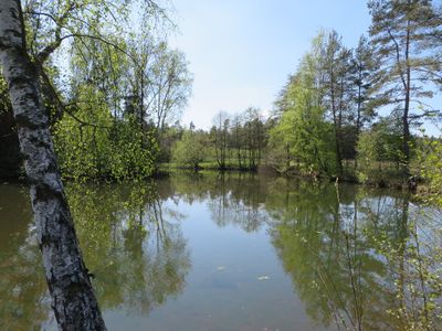 Teichlandschaft